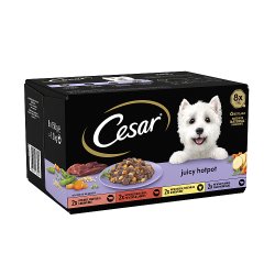 Cesar Juicy Hotpot Adult Wet Dog Food Trays Mixed in Gravy 8 x 150g