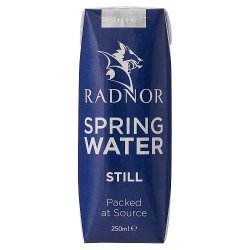 Radnor Hills Still Spring Water Tetra pak® 24x250ml