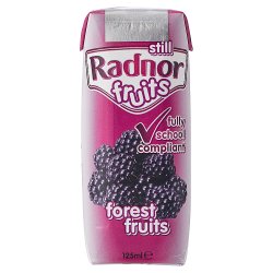 Radnor Fruits Forest Fruits No Added Sugar Kids School Drink Carton 60x125ml