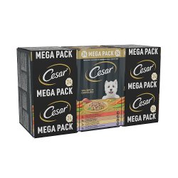 Cesar Country Stew Adult Wet Dog Food Trays Mixed in Loaf 24 x 150g