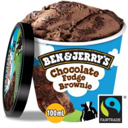 Ben & Jerry's Chocolate Fudge Brownie Ice Cream 100ml