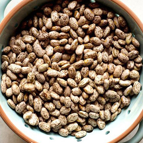 Pinto Beans (Dry)