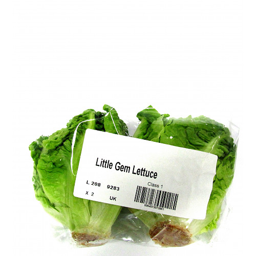 Bestone Little Gem Lettuce 95p